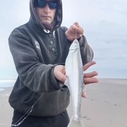 El inicio de la veda en aguas interiores de la provincia de Buenos Aires limita acción al fin de semana, con cupos diferentes de acuerdo al ámbito. Las buenas temperaturas favorecieron el pique en la mayoría de los espejos clásicos la semana anterior, aunque en los últimos días volvieron el frío y las heladas.