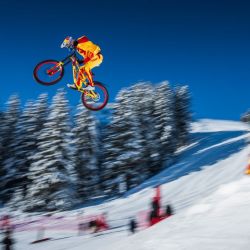 Imágenes de los diferentes documentales que se presentarán en el BANFF 2025.