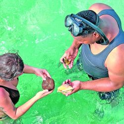 Miches es la playa sin sargazo de República Dominicana, pero hay mucho más para hacer además de ir al mar.