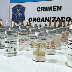 La presente alerta de la OMS sobre productos médicos se refiere a seis lotes de FENTANILO HLB de calidad subestándar detectados en la Argentina. | Foto:Cedoc