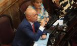 Quiénes son los siete senadores libertarios que se inmolaron en la votación por Discapacidad
