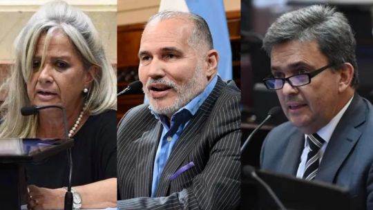 Senadores chaqueños