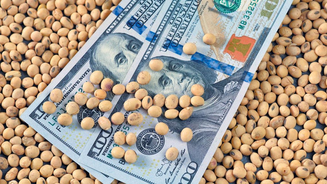 Más allá de la cosecha récord, el agro liquidó US$ 2.677 millones en mayo, pero acumula una baja del 12% en el año