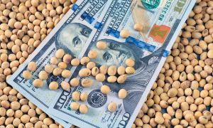 060925_dolar_soja_shutterstock_g