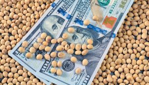 060925_dolar_soja_shutterstock_g