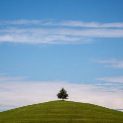 Esta fotografía muestra un árbol en la cima de una colina cerca de Menzingen, en el este de Suiza. | Foto:FABRICE COFFRINI / AFP