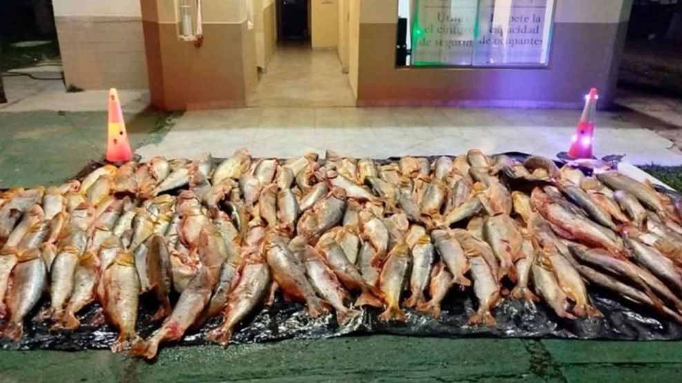 Pesca ilegal en Corrientes