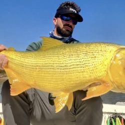 En el Paraná Medio, Esquina es un punto estratégico que brinda grandes alegrías a los pescadores.