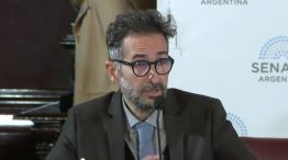 Diego Morales, director de litigio y defensa legal del Centro de Estudios Legales y Sociales de la Argentina (CELS)