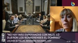 La senadora nacional Juliana Di Tullio en diálogo con QR!