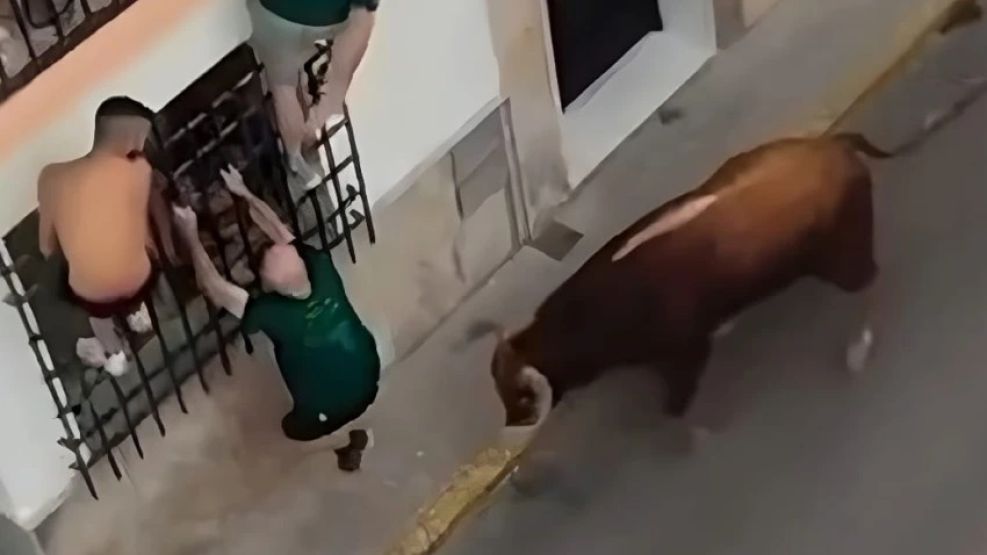 Un hombre de 57 años falleció tras ser corneado por un toro.   