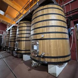 Castilla y León hace gala de varias rutas vitivinícolas que combinan el turismo rural con su esencia cálida.