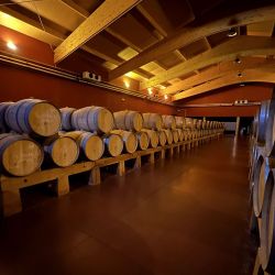 Castilla y León hace gala de varias rutas vitivinícolas que combinan el turismo rural con su esencia cálida.