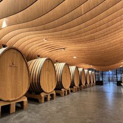 Castilla y León hace gala de varias rutas vitivinícolas que combinan el turismo rural con su esencia cálida.