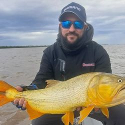 La tararira ha estado activa casi todo el año en algunos puntos, siendo Ramallo un destino destacado. A finales de mayo seguíamos mostrando buenas faenas y ya en este inicio de septiembre volvemos a compartir memorables salidas.  