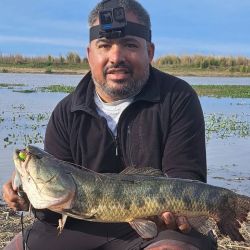 La tararira ha estado activa casi todo el año en algunos puntos, siendo Ramallo un destino destacado. A finales de mayo seguíamos mostrando buenas faenas y ya en este inicio de septiembre volvemos a compartir memorables salidas.  