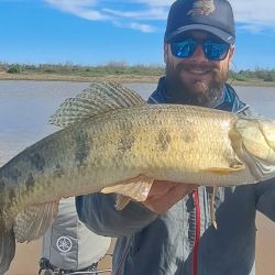 La tararira ha estado activa casi todo el año en algunos puntos, siendo Ramallo un destino destacado. A finales de mayo seguíamos mostrando buenas faenas y ya en este inicio de septiembre volvemos a compartir memorables salidas.  