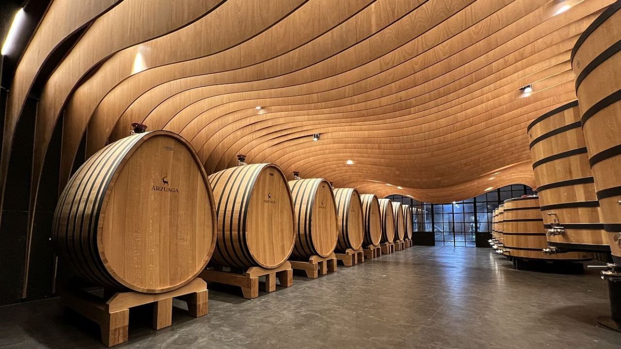En Castilla y León su Ruta del Vino es un viaje cultural lleno de historia