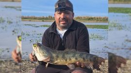 La tararira ha estado activa casi todo el año en algunos puntos, siendo Ramallo un destino destacado. A finales de mayo seguíamos mostrando buenas faenas y ya en este inicio de septiembre volvemos a compartir memorables salidas.