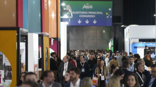 Afectada por la incertidumbre electoral, Vaca Muerta funcionó a media máquina y ahora reza para que no haya un “octubre negro”