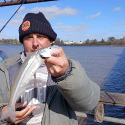 A días del inicio de la primavera se esperan buenos rindes en la mayoría de los pesqueros del país. 