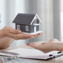 Activos inmobiliarios digitales | Foto:Gentileza Pala