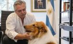 Alberto Fernandez sufre por la salud de Dylan, pero le consiguió acompañante terapéutico: Lennon