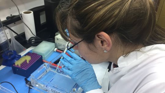 Estudio: la inversión en bienes de capital para hacer ciencia se redujo 65% en dos años