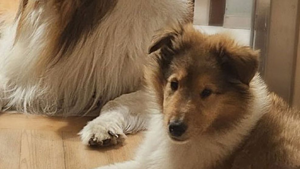 Posteo Alberto Fernandez 12092025