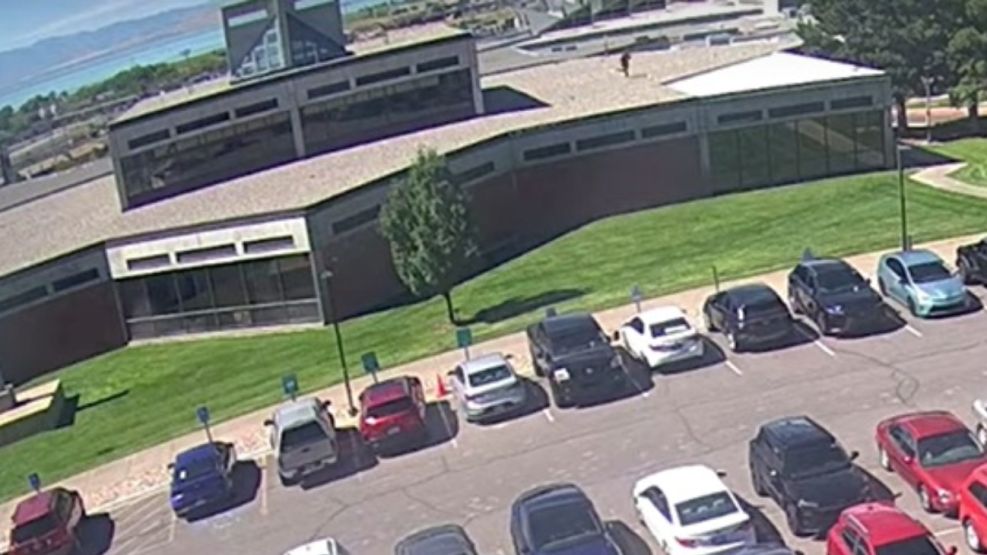 Video agresor de Kirk