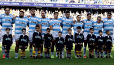 Los Pumas