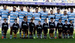 Los Pumas