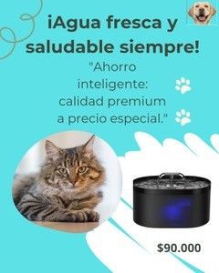 Buenmorfi_mascotas