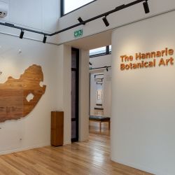 Botanical Art & Safari a dos horas y media de Ciudad del Cabo para descubrir la reserva de Grootbos.