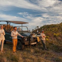 Botanical Art & Safari a dos horas y media de Ciudad del Cabo para descubrir la reserva de Grootbos.