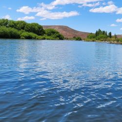 Se busca posicionar a Bajada del Agrio como un destino emergente en la pesca deportiva. Abrir camino a oportunidades laborales para guías, emprendedores turísticos, gastronómicos y, al mismo tiempo, consolidar un sentido de pertenencia en la comunidad local.