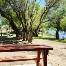 Se busca posicionar a Bajada del Agrio como un destino emergente en la pesca deportiva. Abrir camino a oportunidades laborales para guías, emprendedores turísticos, gastronómicos y, al mismo tiempo, consolidar un sentido de pertenencia en la comunidad local.