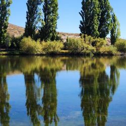 Se busca posicionar a Bajada del Agrio como un destino emergente en la pesca deportiva. Abrir camino a oportunidades laborales para guías, emprendedores turísticos, gastronómicos y, al mismo tiempo, consolidar un sentido de pertenencia en la comunidad local.