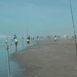 Alrededor de 900 pescadores fueron parte de esta competencia que marca el inicio del calendario de concursos en la costa bonaerense y tendrá continuidad el 28 del corriente mes en balneario Marisol. (Foto: Gentileza, Omar Calafate)