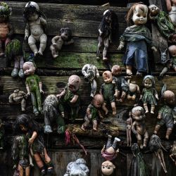 Muñecas viejas y deterioradas cuelgan de un muro en la Isla de las Muñecas en Xochimilco, México. Cuerpos de plástico desnudos o andrajosos cuelgan de árboles centenarios. Cabezas cercenadas, ojos de cristal que miran fijamente a los visitantes. La macabra Isla de las Muñecas en la Ciudad de México asusta a muchos, pero fascinó a Lady Gaga y Tim Burton. | Foto:YURI CORTEZ / AFP