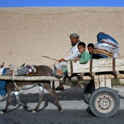 Un hombre afgano viaja en una carreta tirada por un burro con su familia por las calles de una aldea en el distrito de Balkh, provincia de Balkh. | Foto:Atif Aryan / AFP