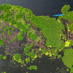 Vista aérea de un barco navegando en el pueblo de Nueva Venecia, en la Ciénaga Grande de Santa Marta, al norte de Colombia. | Foto:Luis Acosta / AFP