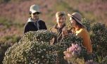 Un safari por Sudáfrica lleva a conocer su rica flora en una reserva privada