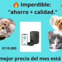 Buenmorfi_mascotas