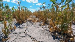 Sequía en Chaco