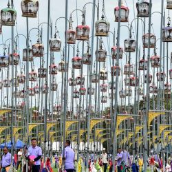 Aves en jaulas durante una competencia de canto de aves en la provincia de Narathiwat, al sur de Tailandia. Unas 1250 aves de Tailandia, Malasia y Singapur participaron en el concurso anual. | Foto:Madaree Tohlala / AFP