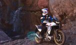 Honda presentó la nueva XL750 Transalp: precio y detalles