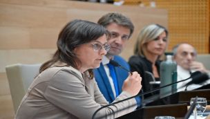 Austin en la Unicameral 