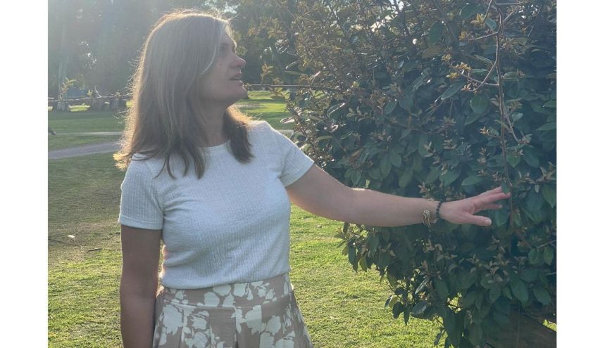 Aruna Paisajismo Consciente