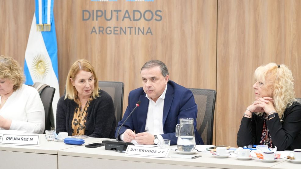 160692025_Juan_Brugge_Congreso_Comision